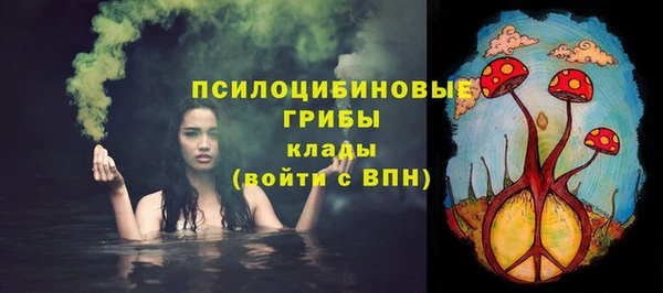 мдпв Бородино