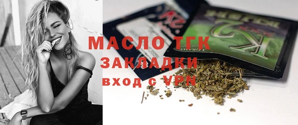мдпв Бородино