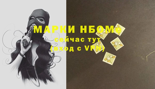 мдпв Бородино