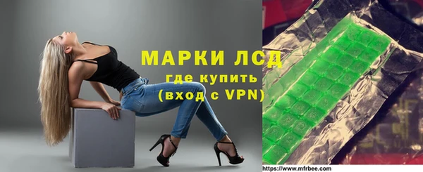 мдпв Бородино
