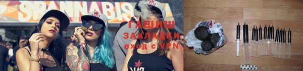 мдпв Бородино
