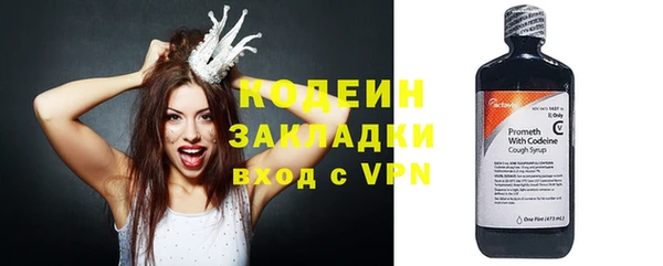 мдпв Бородино